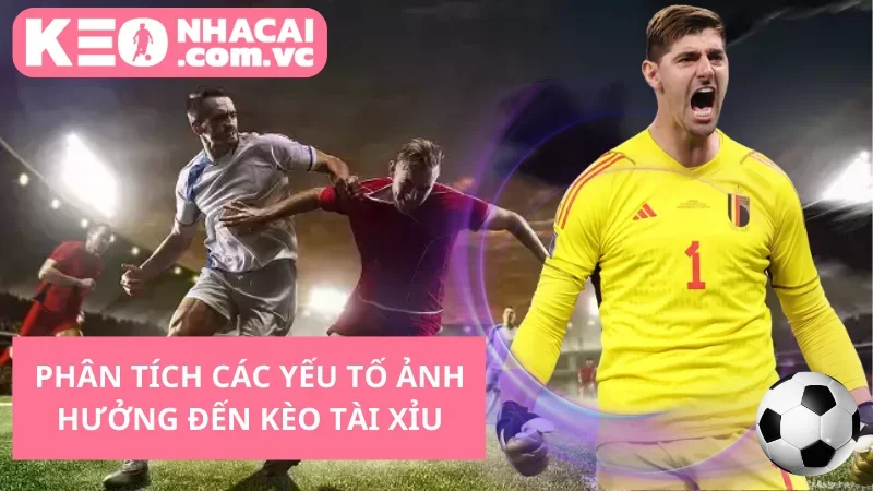 Phân Tích Các Yếu Tố Ảnh Hưởng Đến Kèo Tài Xỉu