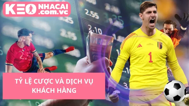 Tỷ lệ cược và dịch vụ khách hàng