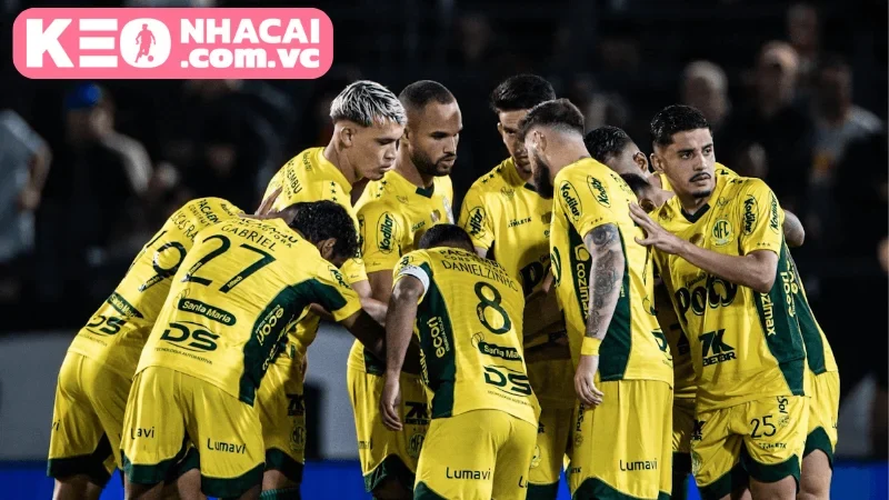 Chuyên gia đưa ra dự đoán tỷ số và gợi ý xu hướng kèo